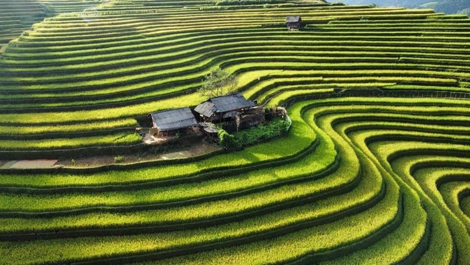 Homestay Hoa Thao - Bus ,Trek & Motorbike Mu Cang Chai المظهر الخارجي الصورة